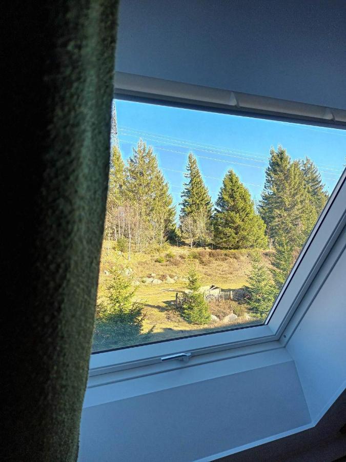 Terre De Sapins - Gites Nature Haut De Gamme Avec Sauna Au Coeur Du Lac Blanc オルベ エクステリア 写真