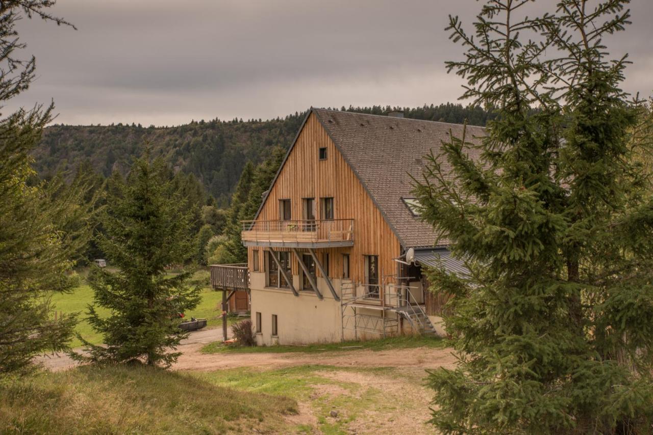 Terre De Sapins - Gites Nature Haut De Gamme Avec Sauna Au Coeur Du Lac Blanc オルベ エクステリア 写真