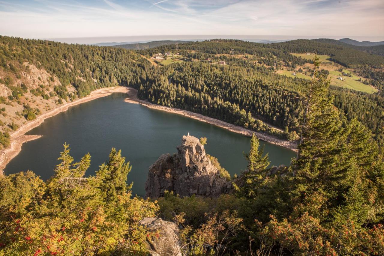 Terre De Sapins - Gites Nature Haut De Gamme Avec Sauna Au Coeur Du Lac Blanc オルベ エクステリア 写真